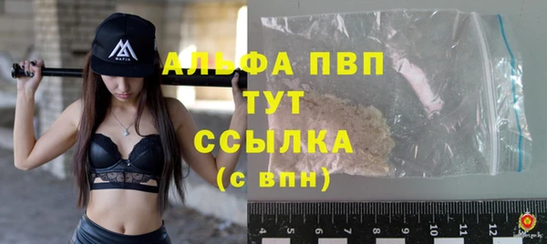 Альфа ПВП Белокуриха