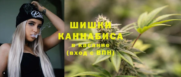 Альфа ПВП Белокуриха