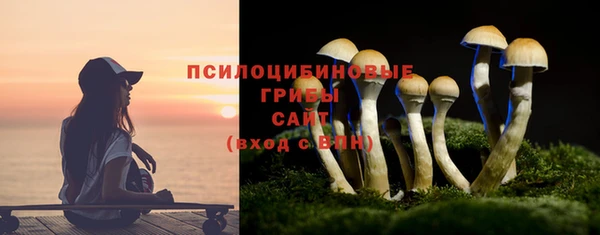 гашишное масло Дмитровск