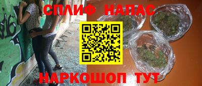 гидра Заводоуковск