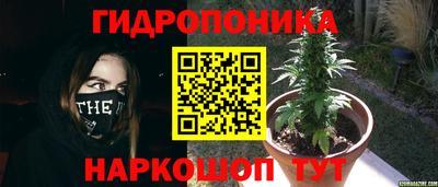 2c-b Заволжье