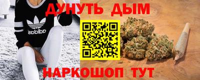 гидра Заводоуковск