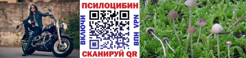 omg ТОР  Бутурлиновка  Псилоцибиновые грибы MAGIC MUSHROOMS 
