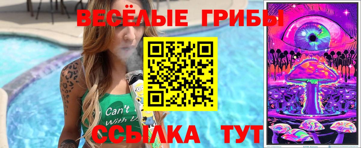 Галлюциногенные грибы Magic Shrooms  Бутурлиновка  Псилоцибиновые грибы Psilocybine cubensis 