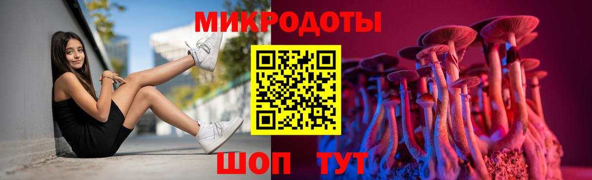 Псилоцибиновые грибы GOLDEN TEACHER  Вход с VPN  Псилоцибиновые грибы мухоморы  Бутурлиновка 